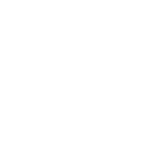 Desde la Raíz